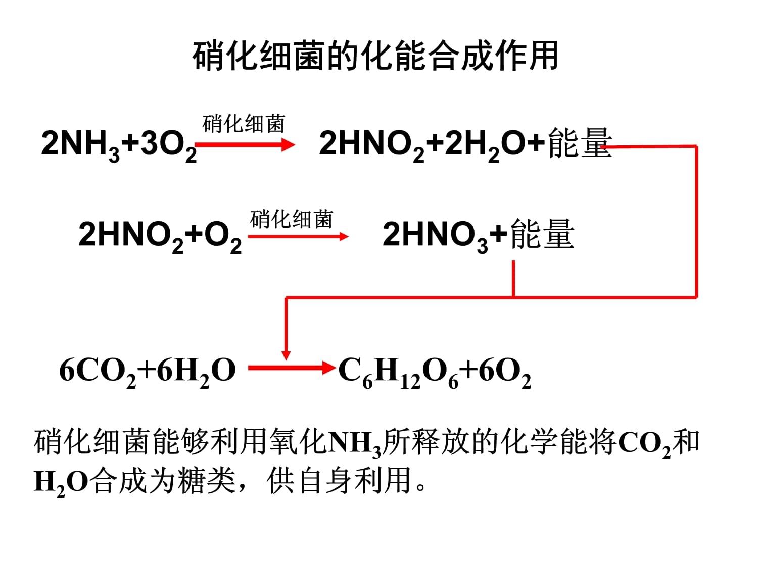 光合硝化细菌的培养技巧：光合硝化细菌可以直接放在鱼缸里但需要注意以下几点