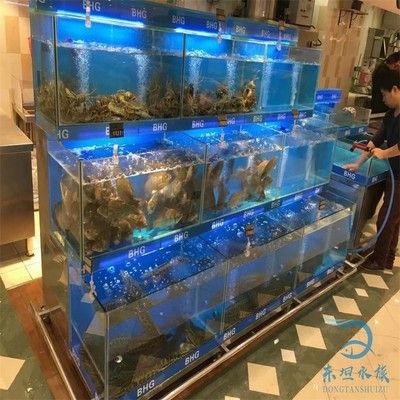 海鲜鱼缸直销价格：海鲜鱼缸制作厂家直销价格从以下几个方面来了解信息 鱼缸百科 第1张