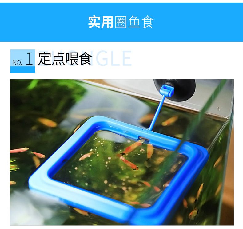 鱼缸自动喂食器的选购指南：封闭式鱼缸如何安装喂食器 鱼缸百科 第2张