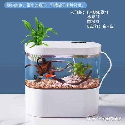 底滤鱼缸维护与优化：底滤小鱼缸是一种常见水族生态系统的构建与生态系统 鱼缸百科 第1张