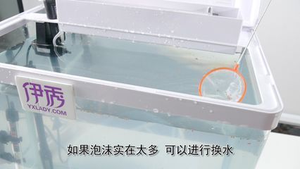 梦境解析：换水鱼缸碎了并没有特定的征兆：换水鱼缸碎了是什么意思？