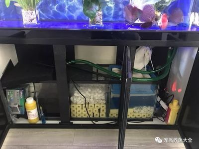 鱼缸底滤鱼缸滤材的摆放方法：底滤鱼缸滤材摆放方法：底滤鱼缸滤材摆放