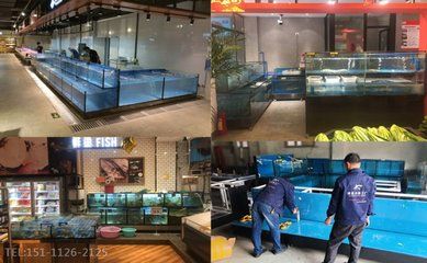 淄博桓台县多家店铺销售鱼缸：桓台县多家店铺销售鱼缸 鱼缸百科 第2张