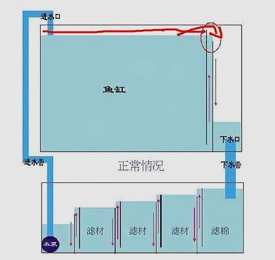 底滤鱼缸不下水是怎么回事？：底滤鱼缸不下水可能是多种原因造成的 鱼缸百科 第4张