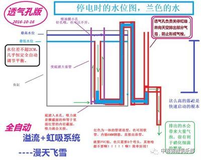 底滤强排是鱼缸过滤系统的一部分用于排除过滤仓中的污垢：使用底滤强排排空鱼缸水的具体步骤 鱼缸百科 第1张