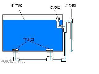 底滤强排是鱼缸过滤系统的一部分用于排除过滤仓中的污垢：使用底滤强排排空鱼缸水的具体步骤 鱼缸百科 第2张