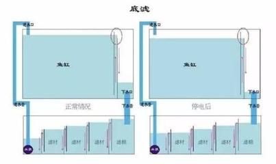 底滤强排是鱼缸过滤系统的一部分用于排除过滤仓中的污垢：使用底滤强排排空鱼缸水的具体步骤 鱼缸百科 第3张