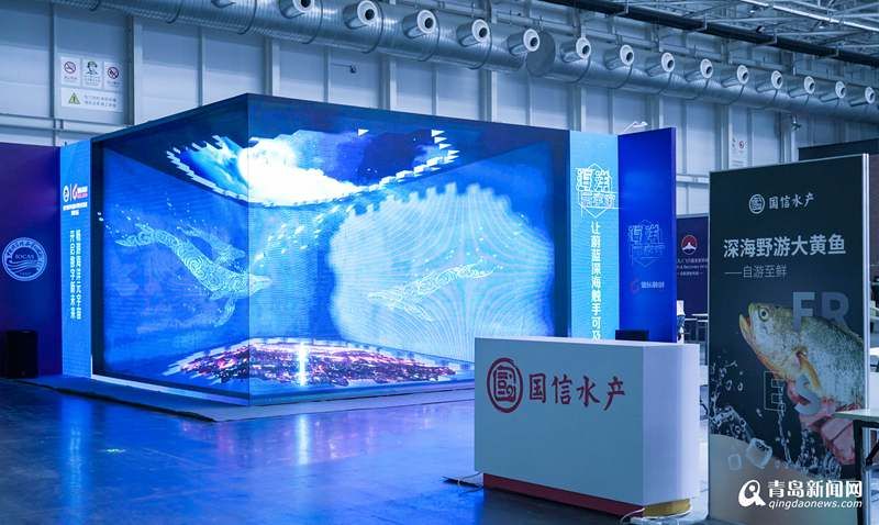 海博鱼缸官网网址是什么？：探索海洋生物的奇幻之旅 鱼缸百科 第3张