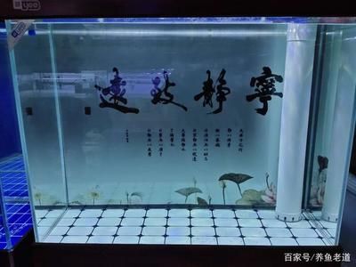 海水鱼缸生态系统的换水技巧和方法和方法和方法：海水鱼缸换水技巧 鱼缸百科 第1张