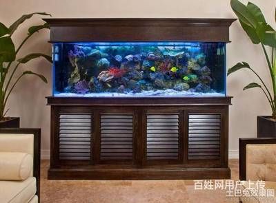 海水鱼缸生态系统的换水技巧和方法和方法和方法：海水鱼缸换水技巧