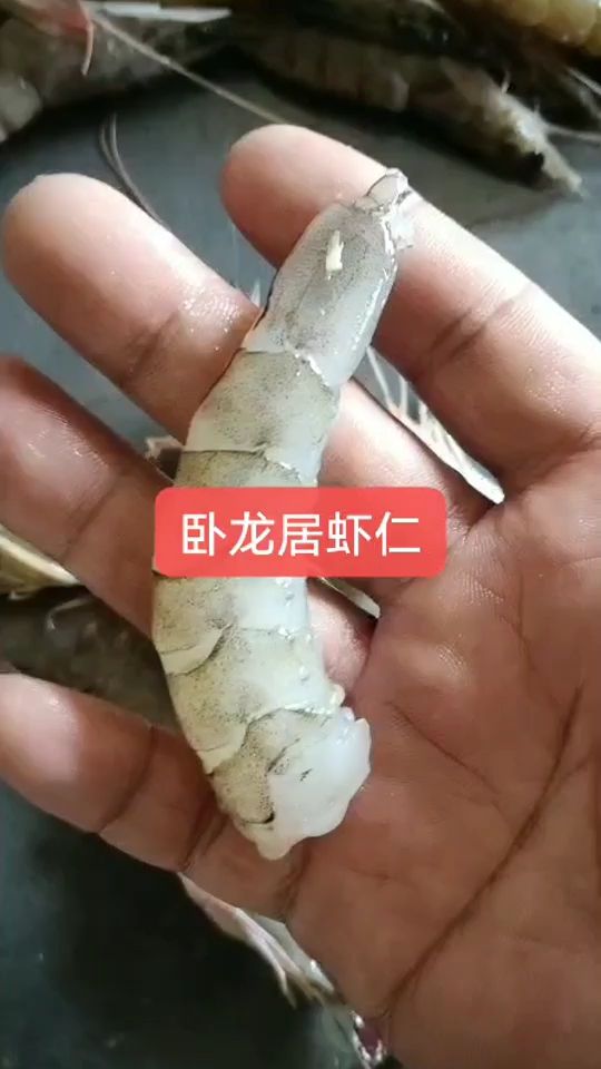 虾仁，：虾仁[CLS]虾仁虾仁虾仁 观赏鱼论坛