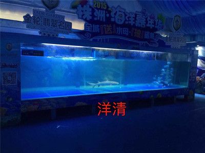 海洋鱼缸展出租服务公司提供海洋生物鱼缸展出租服务：提供海洋鱼缸展出租服务的公司