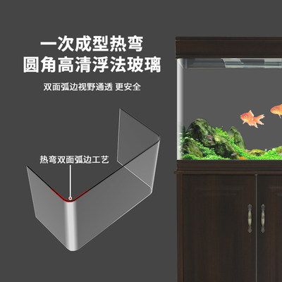 热弯玻璃鱼缸的安全使用指南：浮法热弯玻璃鱼缸使用注意事项 鱼缸百科 第2张