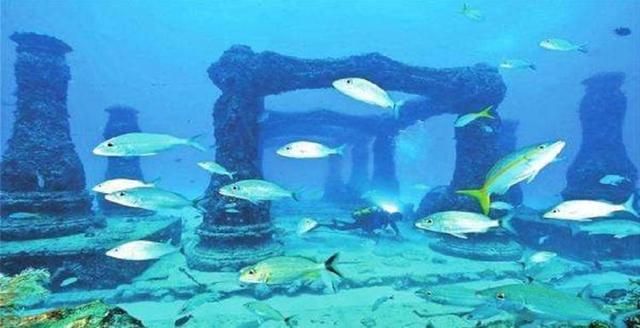 海王水族用品公司的研发历程：海王水族用品公司的信息 鱼缸百科 第3张