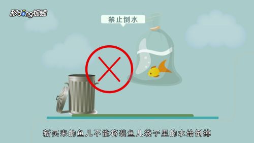 新买的鱼缸消毒、养水和适合养水和适应期的鱼缸使用方法：新买的鱼缸如何使用 鱼缸百科 第2张