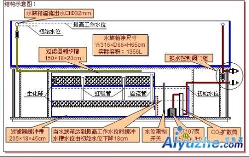 鱼缸底滤的工作原理：底滤鱼缸的上水方法主要是通过溢流的方式实现的 鱼缸百科 第1张