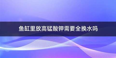 高锰酸钾溶液泡鱼缸时间详解高锰酸钾溶液泡鱼缸时间：关于高锰酸钾溶液泡鱼缸时间的详细指南 鱼缸百科 第1张