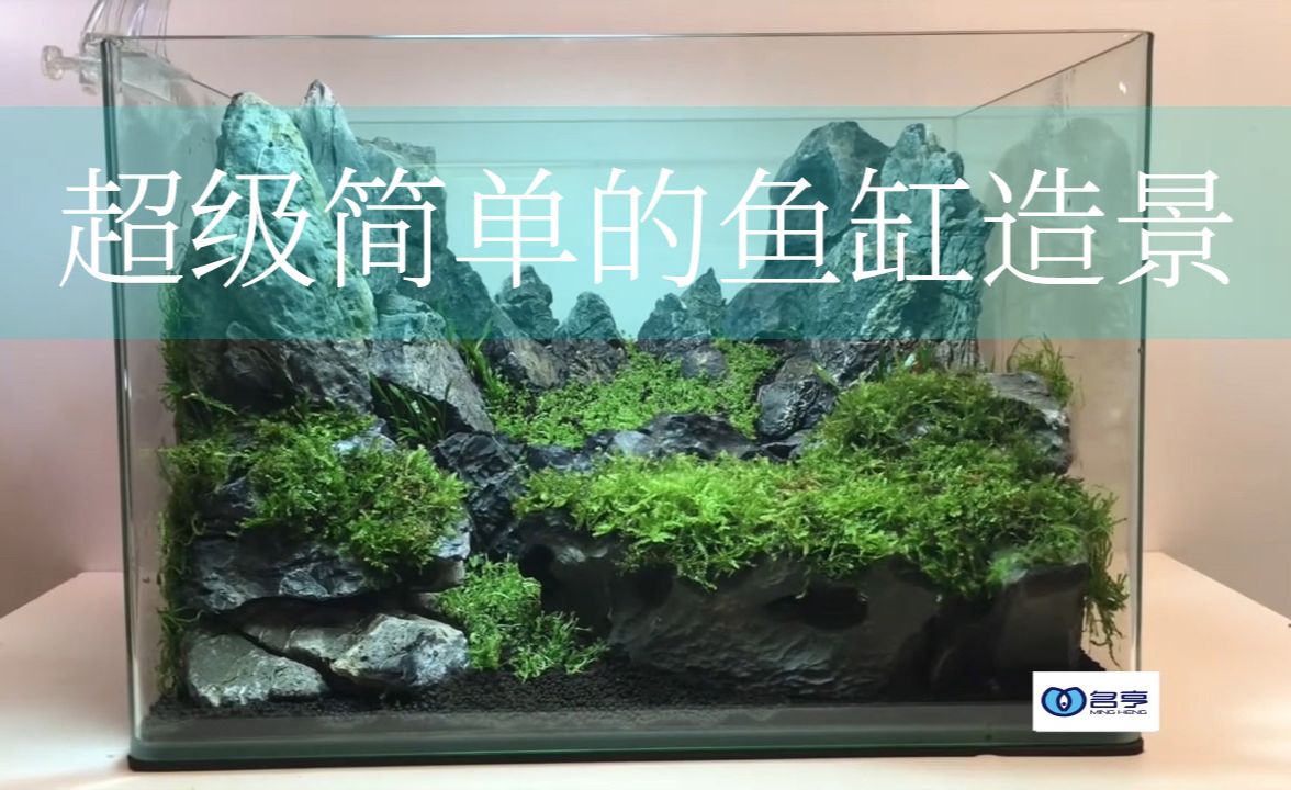 美学探索底滤鱼缸：底滤鱼缸的造景技巧