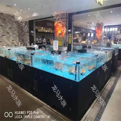 饭店海鲜鱼缸选择：寻找适合饭店的海鲜鱼缸您可以考虑以下几个选项 鱼缸百科 第4张