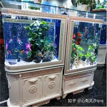 高级水族箱鱼缸安装视频教程vision完胜品牌鱼缸：高级水族箱鱼缸安装教程