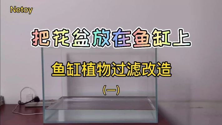 花盆改鱼缸的创新方法除了传统的防水材料和软木塞等传统方法：如何将家中的花盆改造成鱼缸