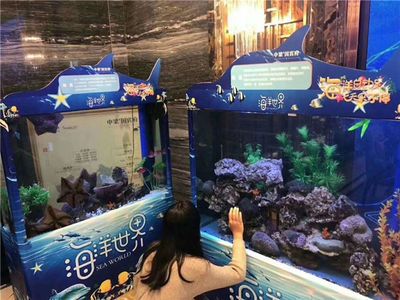 海洋生物租赁的兴起：关于鱼缸转让的一些问题