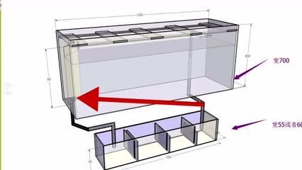 底滤鱼缸的选择与保养：底滤鱼缸与其他过滤系统的选择与应用底滤鱼缸的比较 鱼缸百科 第3张