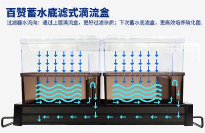 底滤鱼缸的基本结构：底滤鱼缸底滤鱼缸的基本构造及其各个部分作用 鱼缸百科 第3张