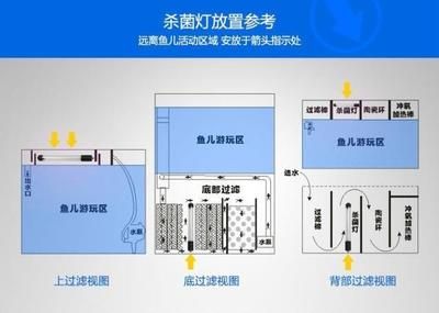 鱼缸杀菌灯的安装位置对于其功效有着重要影响的影响：关于鱼缸杀菌灯安装位置的建议