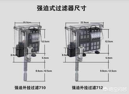 黑鱼在家庭鱼缸中养不活的原因及合理投放硝化菌等因素：水质管理的重要性 鱼缸百科 第2张