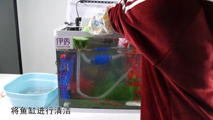 鱼缸消毒剂选择高锰酸钾溶液浸泡鱼缸消毒剂的选择：如何选择合适的鱼缸消毒剂 鱼缸百科 第4张