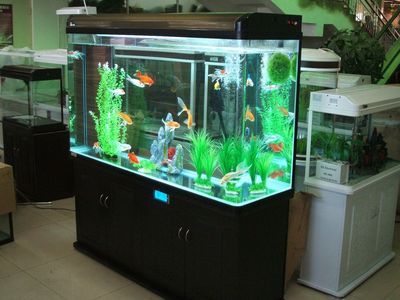 越美水族用品有限公司：广州市越美水族用品有限公司