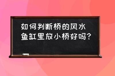 风水学中适合养鱼缸的人群：风水学中的鱼缸摆放技巧 鱼缸百科