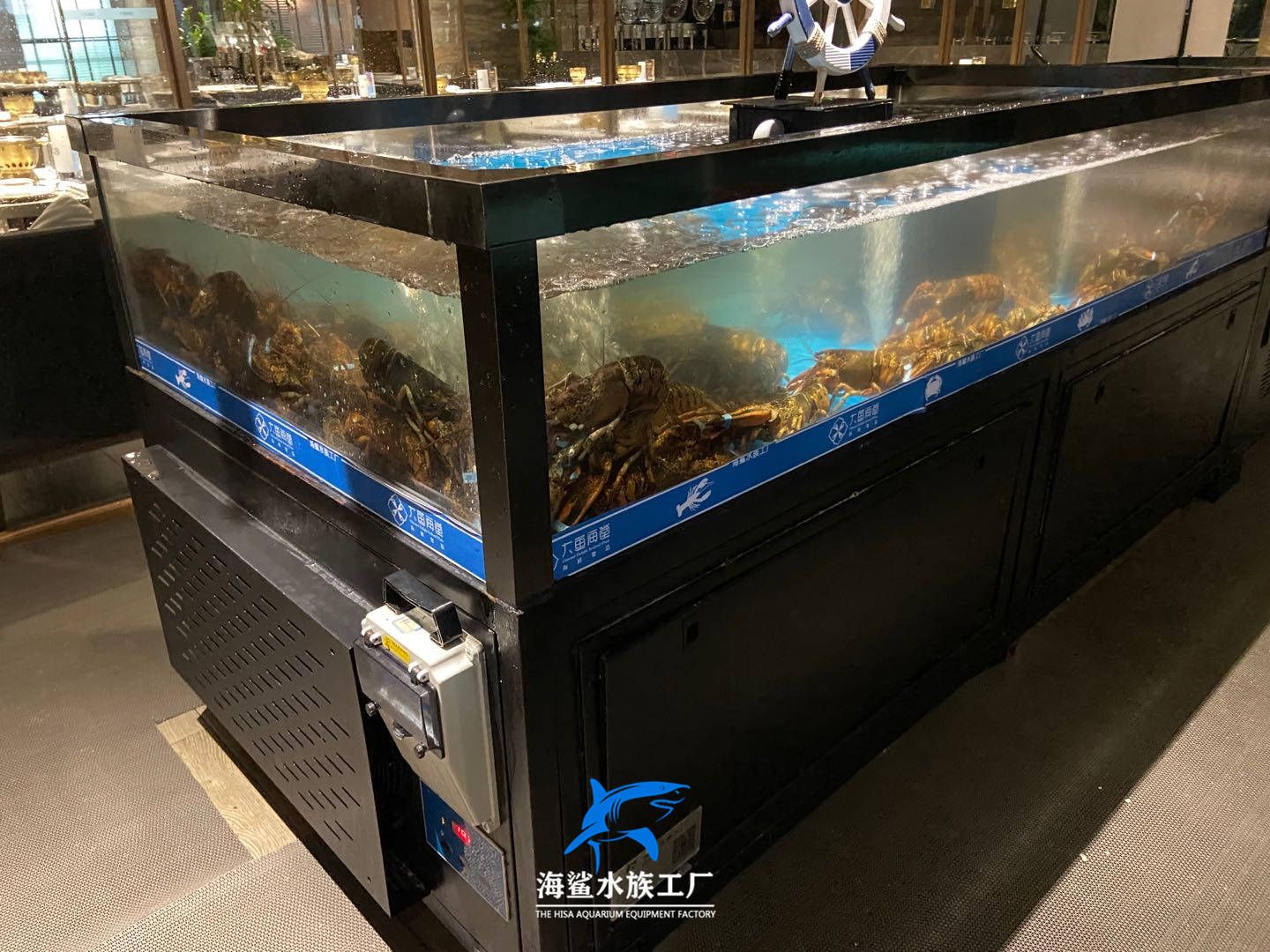 饭店用的鱼缸可以在多个渠道购买，包括线上电商平台和线下实体店：如何选择适合饭店使用的鱼缸 鱼缸百科 第4张