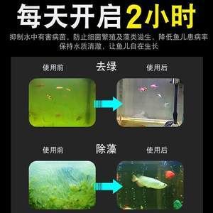 底滤鱼缸杀菌灯的放置位置对于水族箱的健康至关重要：底滤鱼缸杀菌灯放哪里最好