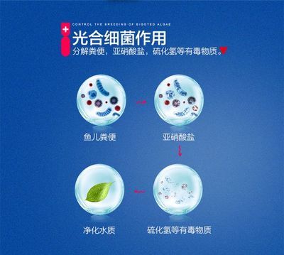 光合细菌在鱼缸生态系统中的作用：光合细菌在鱼缸中的作用与分类与特性 鱼缸百科 第4张