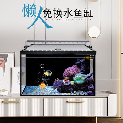 定制鱼缸方面有良好口碑的厂家：水族工程的历史演变：定制鱼缸厂家哪家好 鱼缸百科 第1张