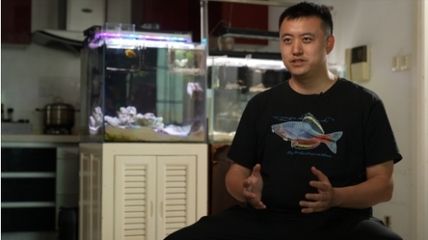 “海王”鱼缸生产厂家详细信息：涉及多个不同的鱼缸厂家：“海王”鱼缸厂家有哪些？