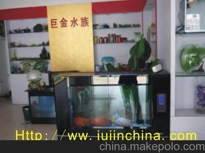 广东鱼缸品牌的发展趋势随着全球水族产业的发展趋势：广东地区有哪些知名的鱼缸品牌？