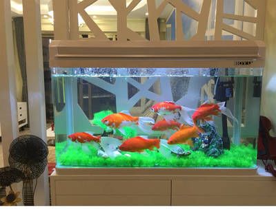 广东鱼缸品牌的发展趋势随着全球水族产业的发展趋势：广东地区有哪些知名的鱼缸品牌？ 鱼缸百科 第4张