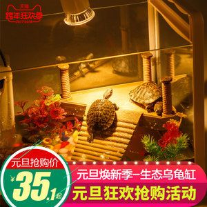 钢化鱼缸的价格范围：钢化玻璃鱼缸价格因尺寸、是否定制以及品牌等因素而有所不同 鱼缸百科 第4张