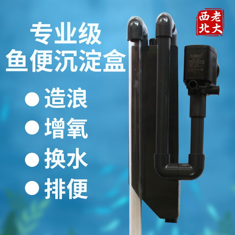 养鱼新手指南：鱼便分离器的diy制作教程：养鱼新手指南：如何选择合适的鱼便分离器