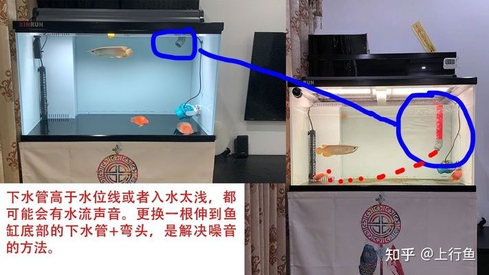 鱼缸下水管噪音大怎么办？：底滤鱼缸下水管出现轰隆轰隆声怎么办？ 鱼缸百科 第4张