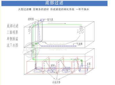 底缸过滤鱼缸过滤系统的设计图是一类专门用于指导鱼缸过滤系统：底缸过滤鱼缸设计图的设计 鱼缸百科 第1张