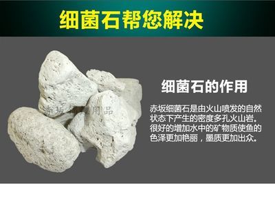 鱼缸过滤材料的选择指南鱼缸过滤材料的选择指南指南：鱼缸过滤材料如何选择 鱼缸百科 第2张