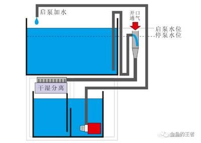 虹吸鱼缸水循环装置的使用：虹吸鱼缸水循环示意图制作步骤和注意事项