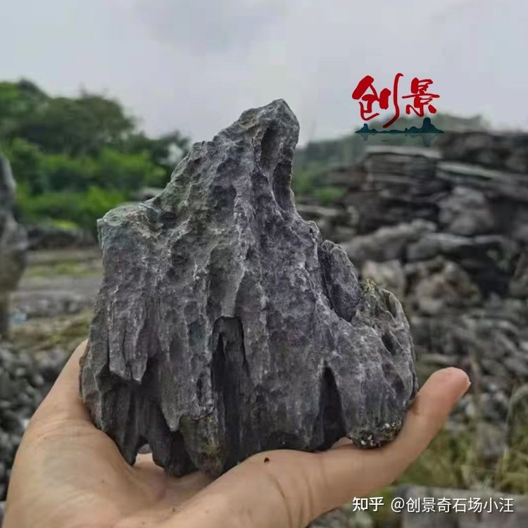 鱼缸造景的艺术与技巧：风化石鱼缸造景的艺术与技巧 鱼缸百科 第2张