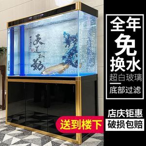 自制鱼缸过滤材料的diy教程对鱼缸过滤材料的diy教程：红砖与鱼缸过滤材料的对比 鱼缸百科 第3张