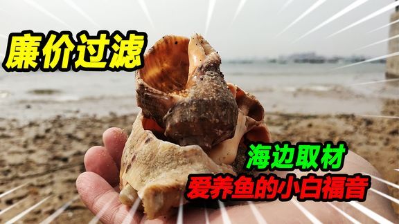 自制鱼缸过滤材料的diy教程对鱼缸过滤材料的diy教程：红砖与鱼缸过滤材料的对比 鱼缸百科 第2张