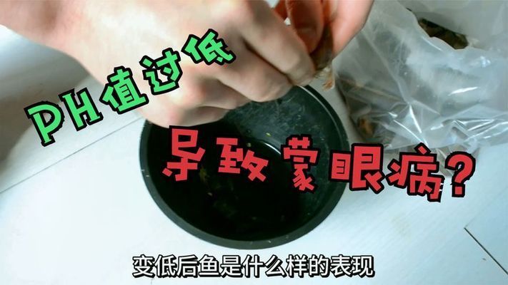 新买的鱼入缸后蒙眼可能由以下几个原因导致：养鱼新手常见误区